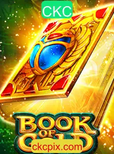 Desvendando o Fascinante Mundo de BookofGold