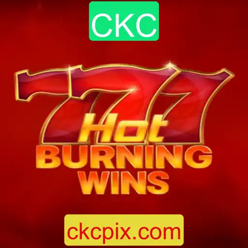 Explorando o Universo de HotBurningWins: Um Mergulho nas Regras e Mecânicas do Jogo